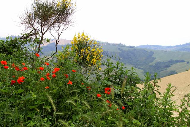 1243 Wandeling vanaf camping.jpg